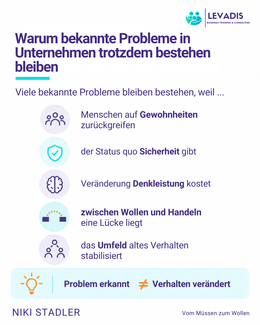 Warum bekannte Probleme in Unternehmen trotzdem bestehen bleiben